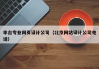丰台专业网页设计公司（北京网站设计公司电话）